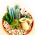 Cactus (dekor tl) 13 cm-es cserp
