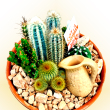 Cactus (dekor tl) 20 cm-es cserp
