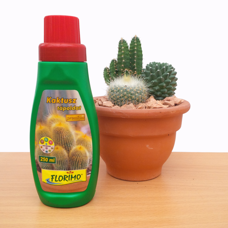 Florimo Kaktusz Tpoldat