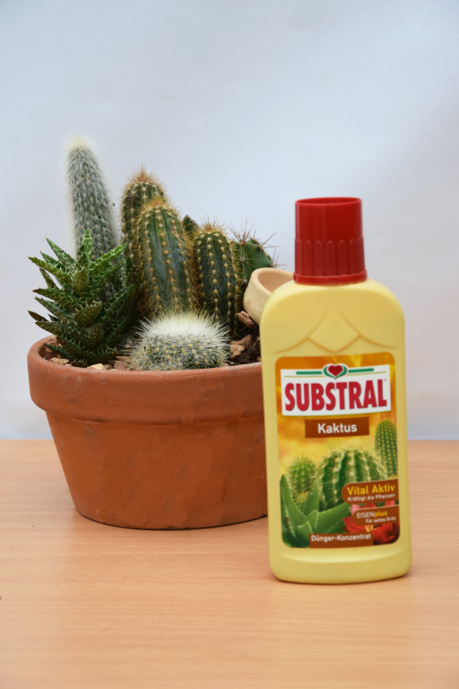 Substral Kaktusz Tpoldat