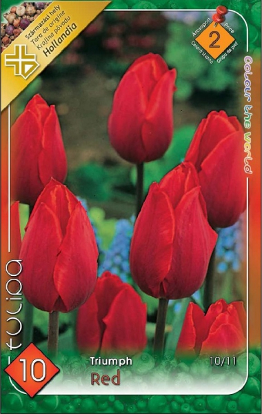 Tulipn hagyma 'Red'