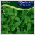Vetmag - KAKUKKF (Thymus vulgaris) 1 tasak / 0,5g, z